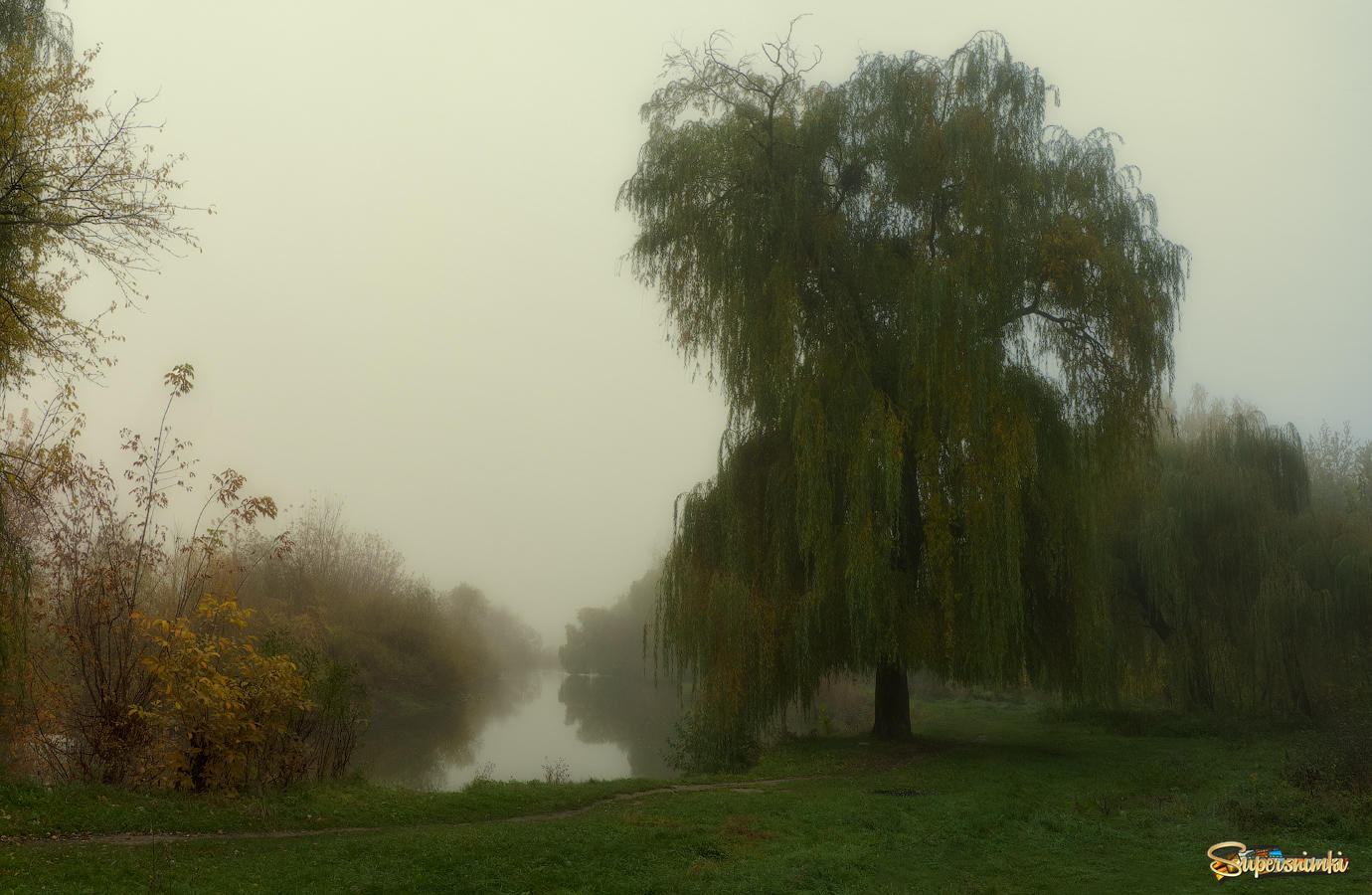 Про туман, иву, и тропинку вдоль речки...
