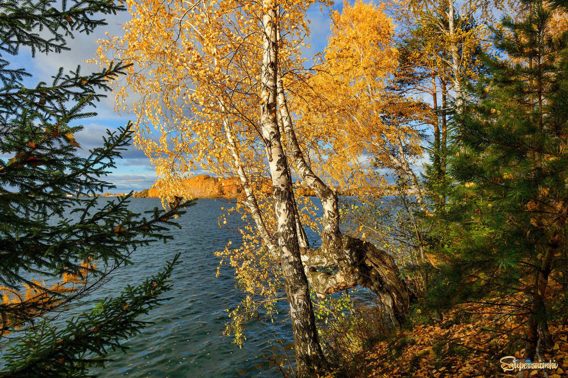 Осенний берег