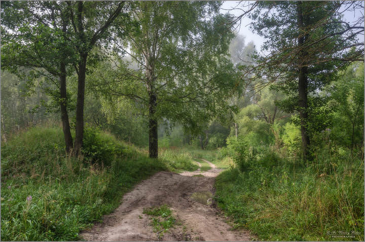 Летними дорогами