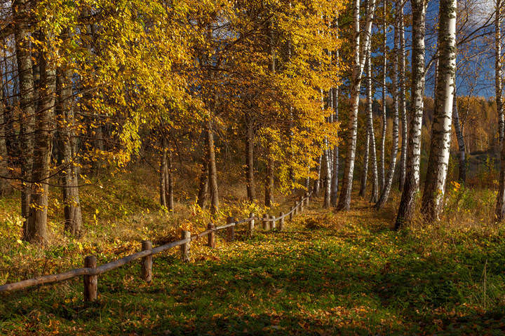 Осень