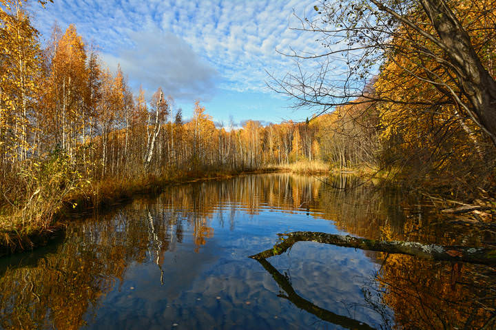 Отражение