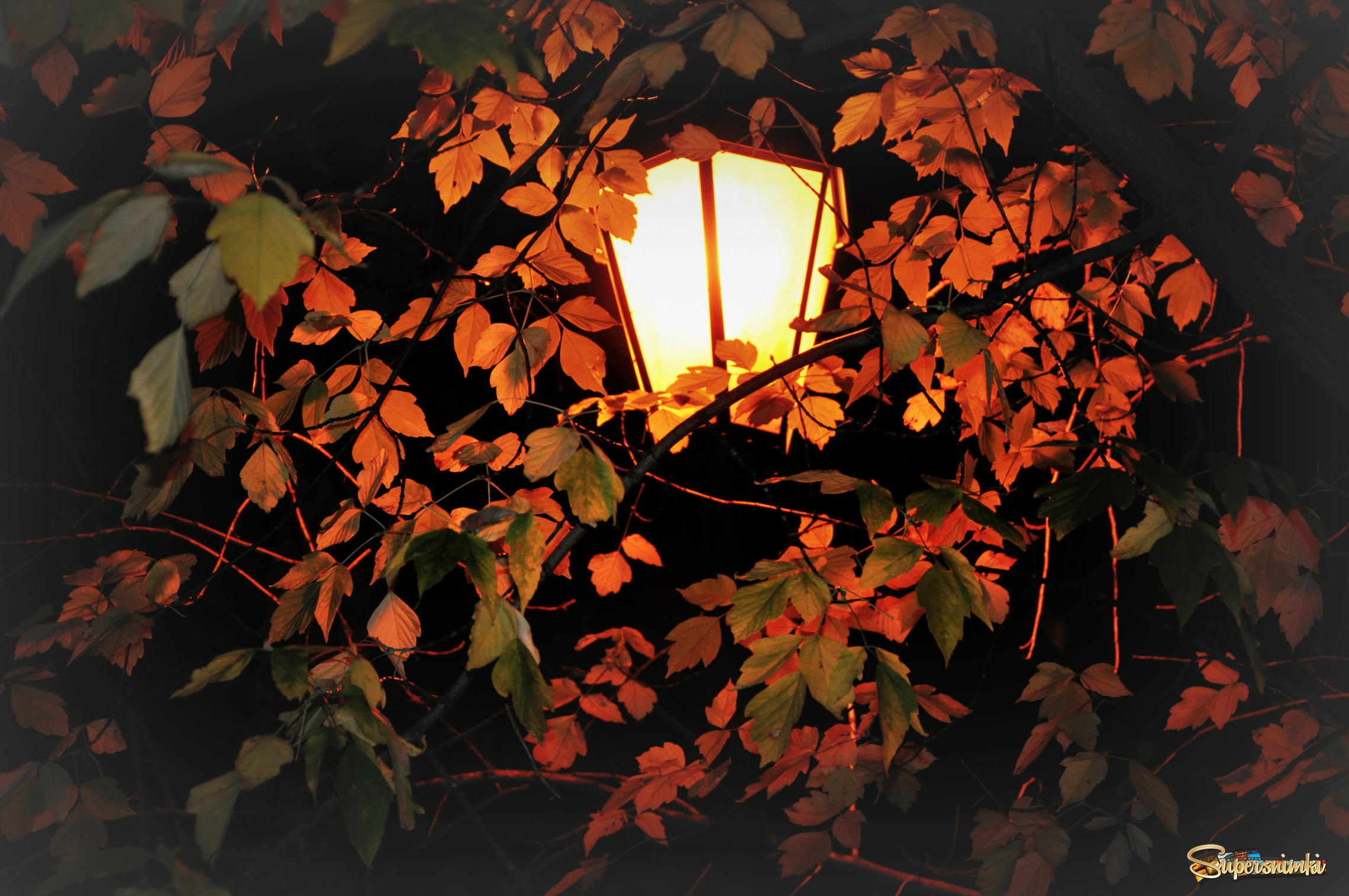 Однажды осенним вечером. Осень вечер. Осенний вечер. Осенняя ночь. Уютного осеннего вечера.