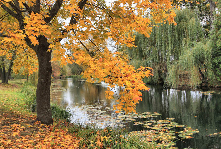 Прекрасная пора , очей очарование