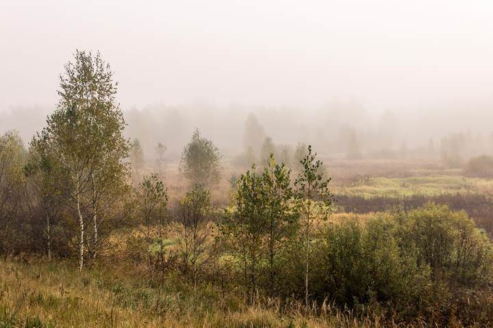***