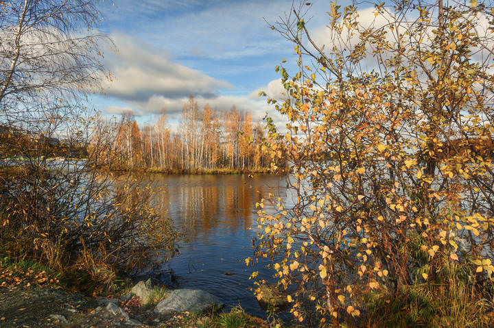 Остров