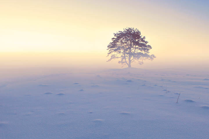 winter is coming