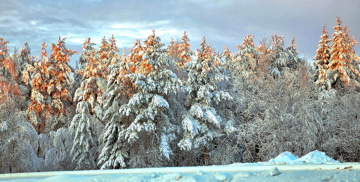 Лапландия