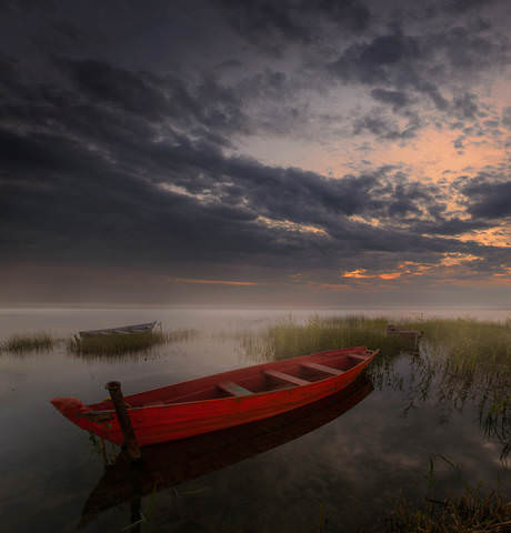boats
