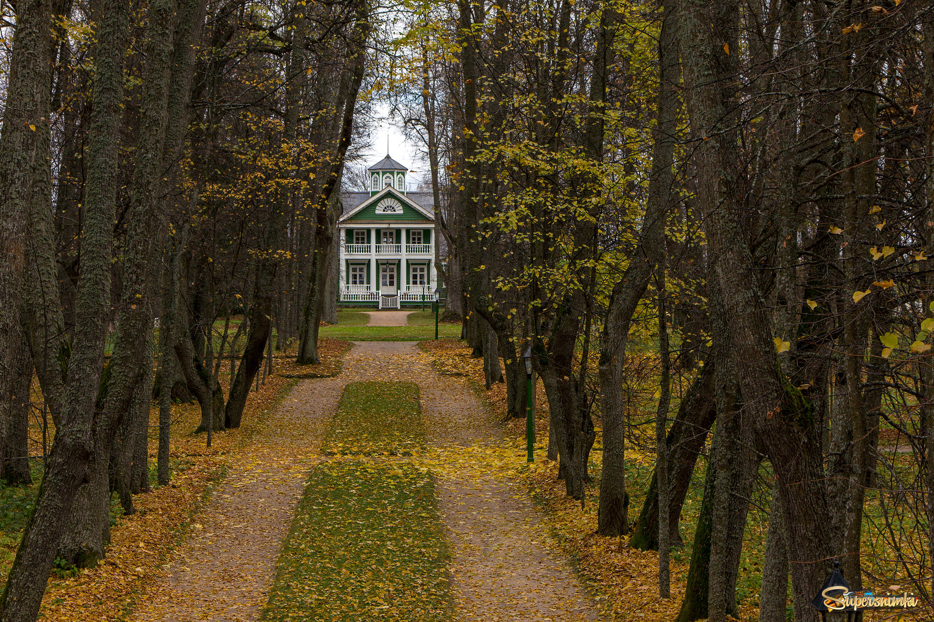 Пушкинские горы осень