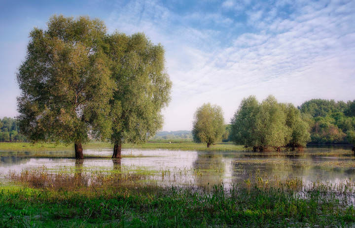 В разливе