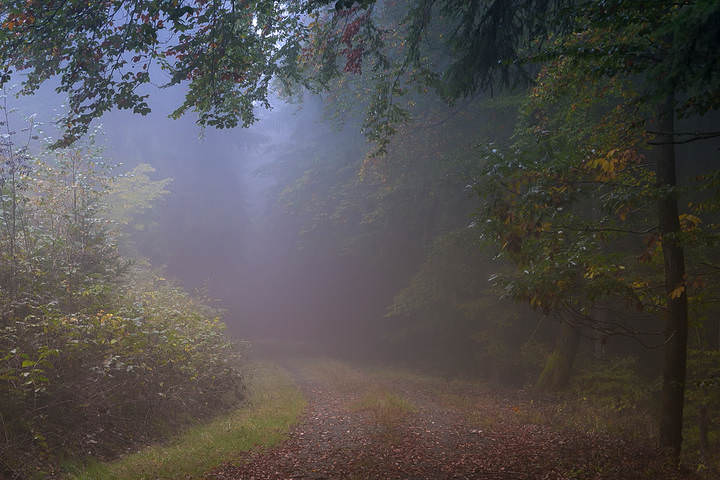 Осеннее