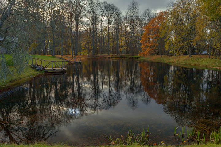 Осень в Петровском
