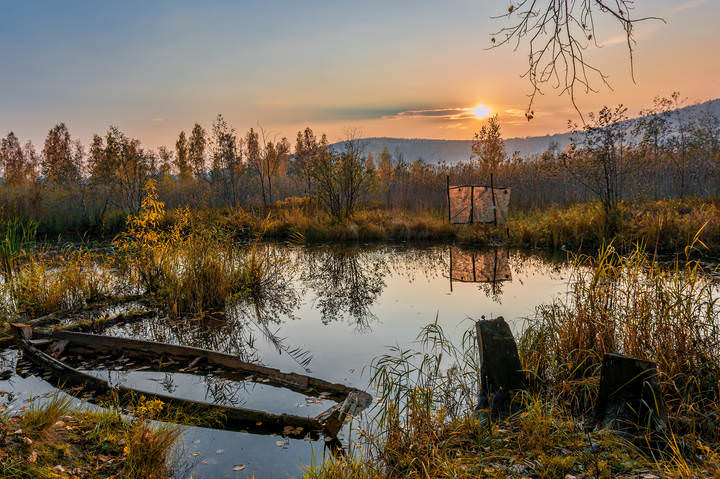 Осенняя грусть