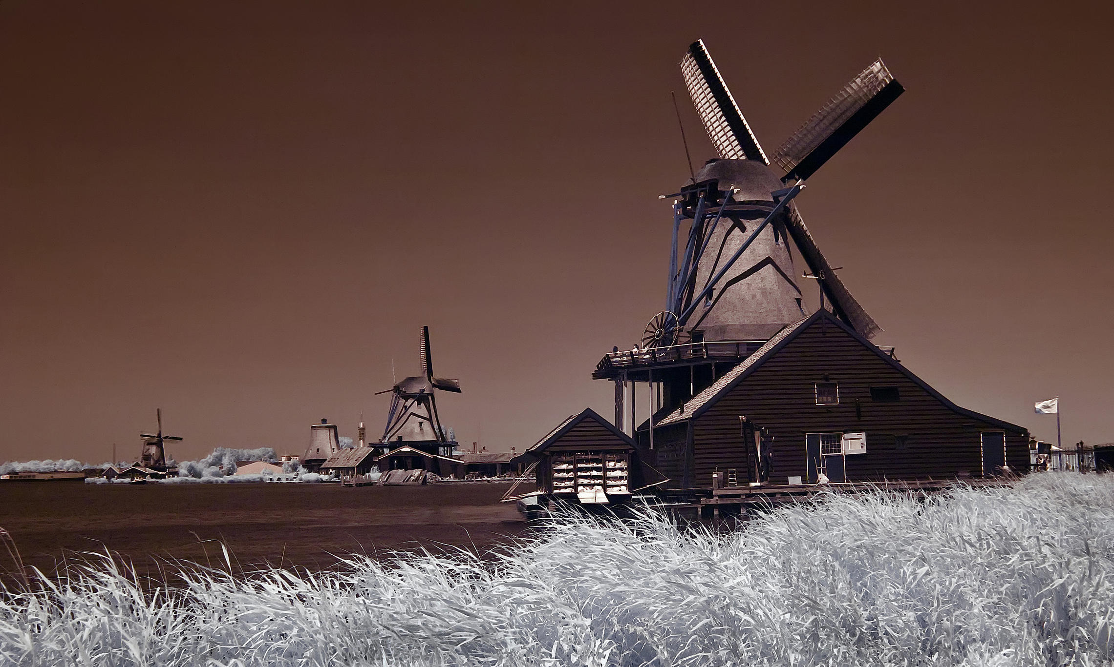 Голландские ветряшки...