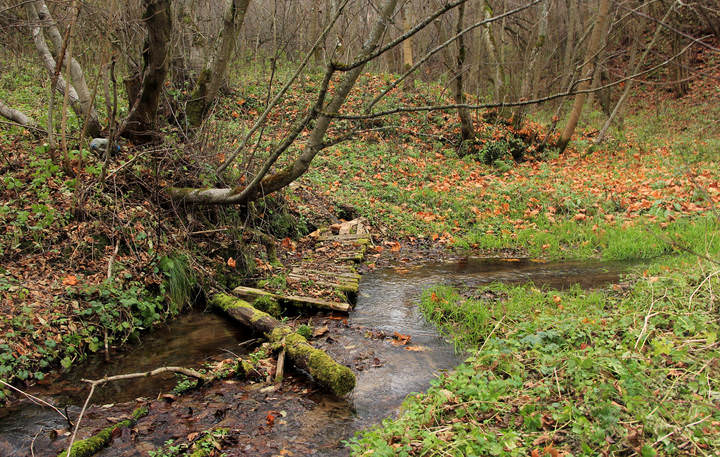 Старый мостик
