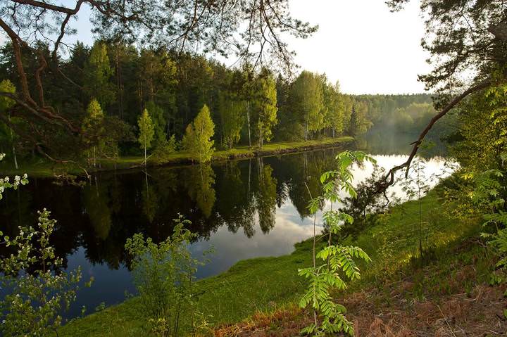 На берегах Улеймы
