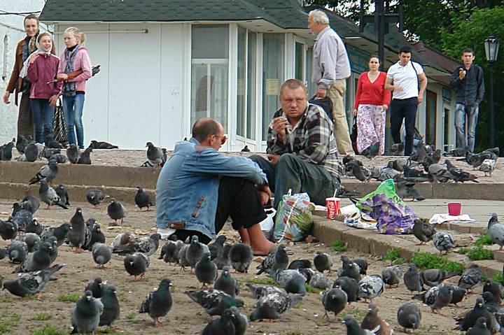 "Друзья" в голубях