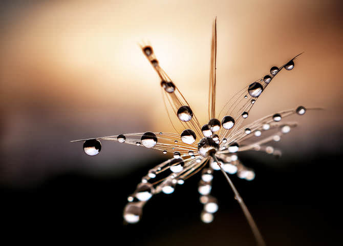Drops.