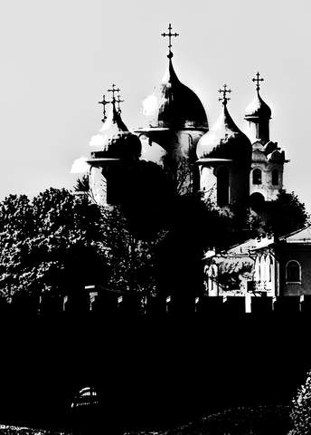 Контрасты солнечного дня (3)