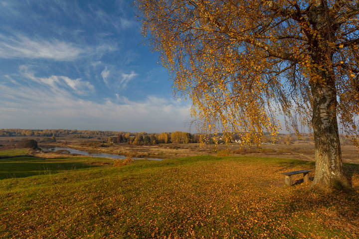 Осень в Савкино