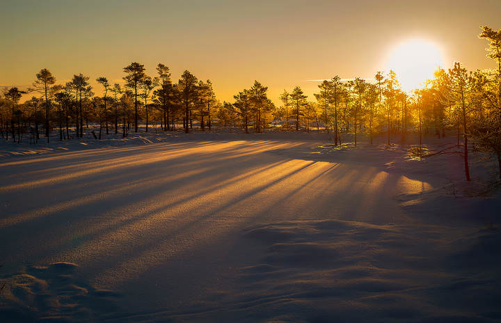 Winter