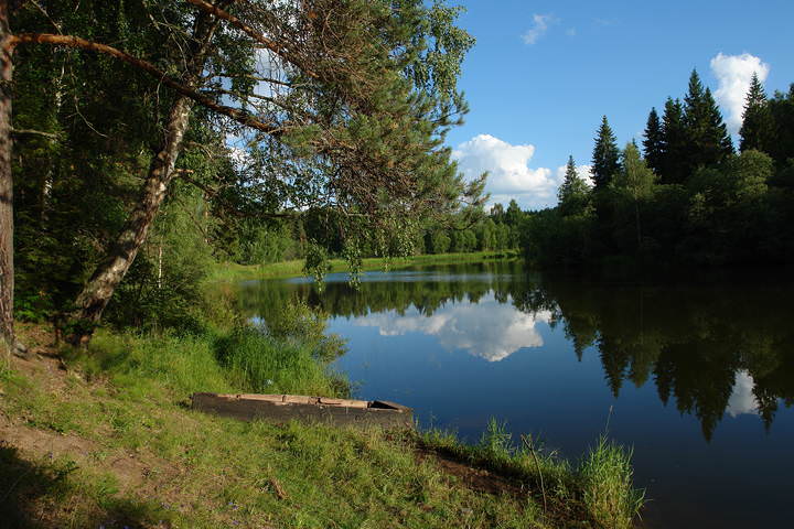 Улейма