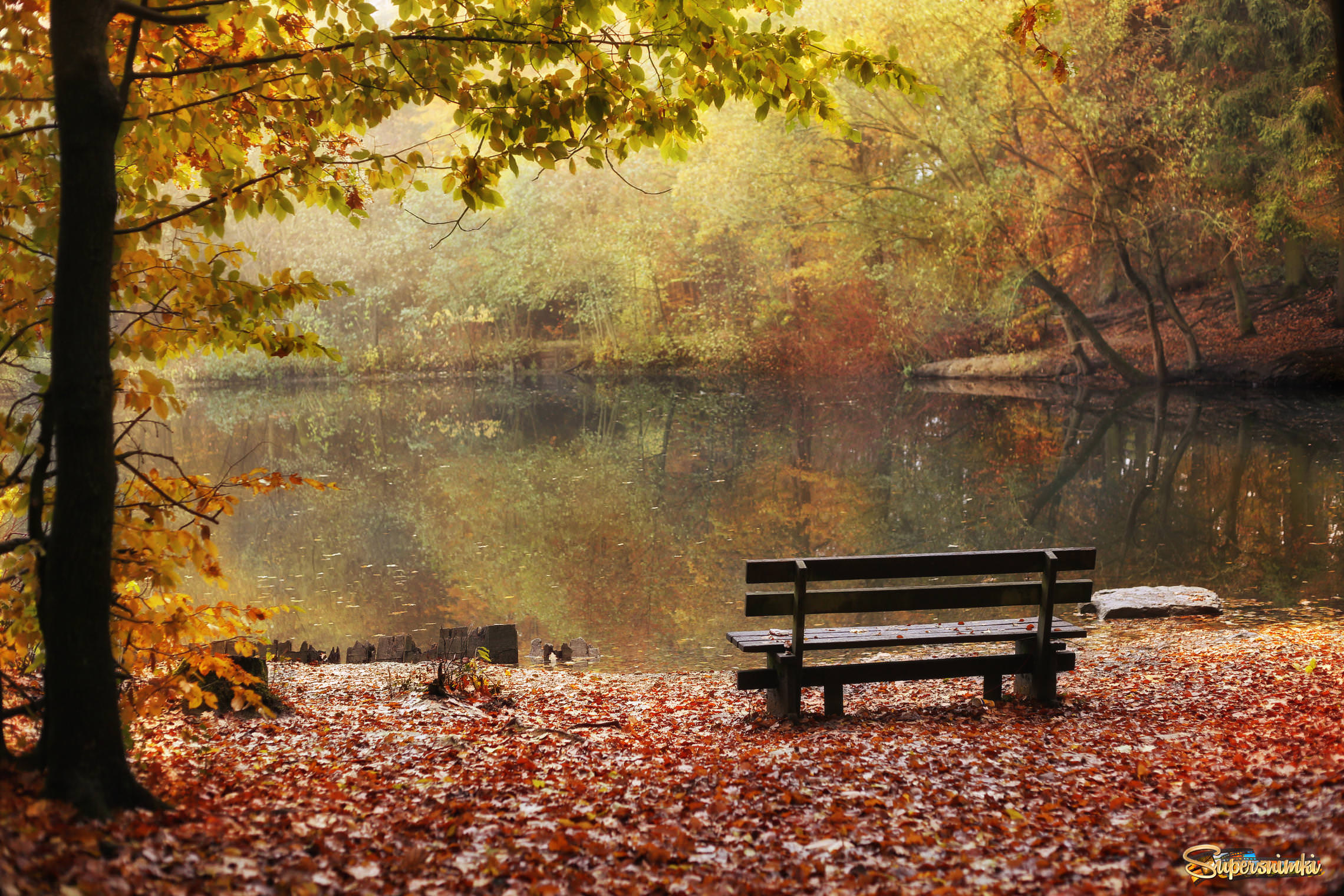 Скамейка с видом на осень