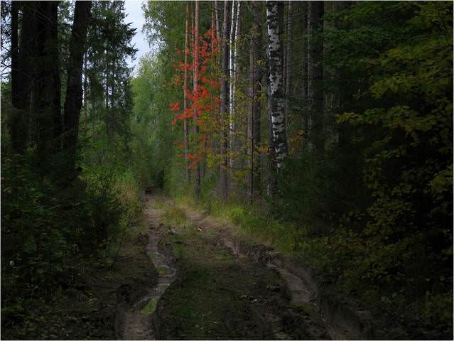В деревню, в глушь, в Саратов... (с)