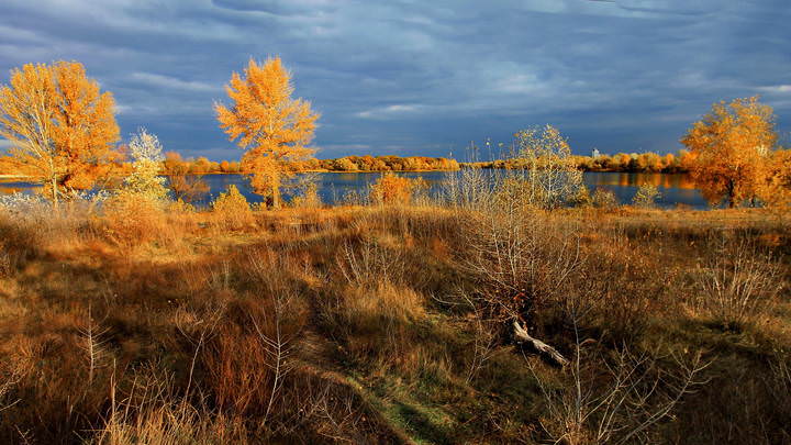 Краски осени