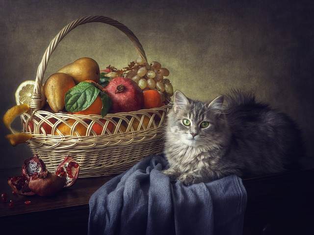 Масяня и корзина фруктов