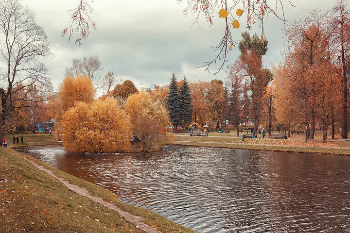 Рыжая осень..