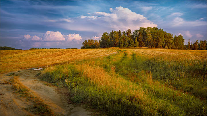 Вечерняя, деревенская красота…