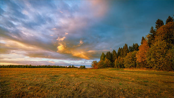 Картинка осенняя, вечерняя...