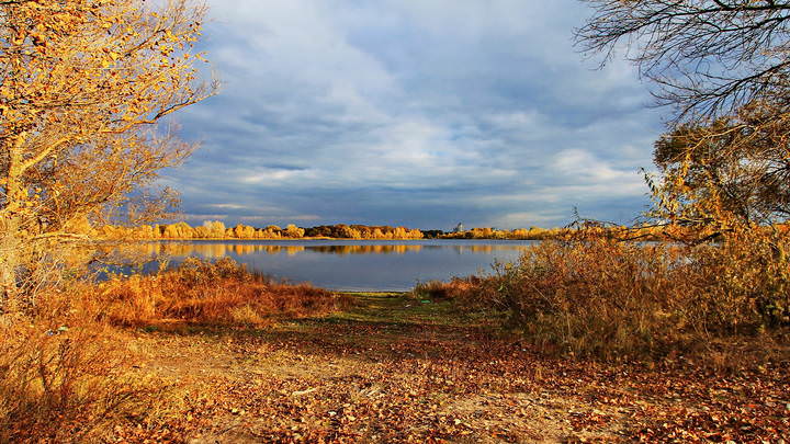 Осень
