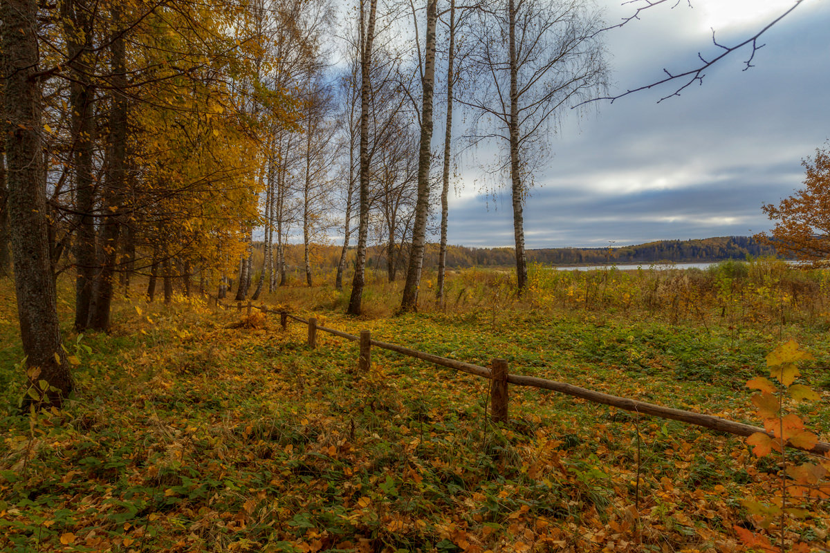 Осень в Петровском