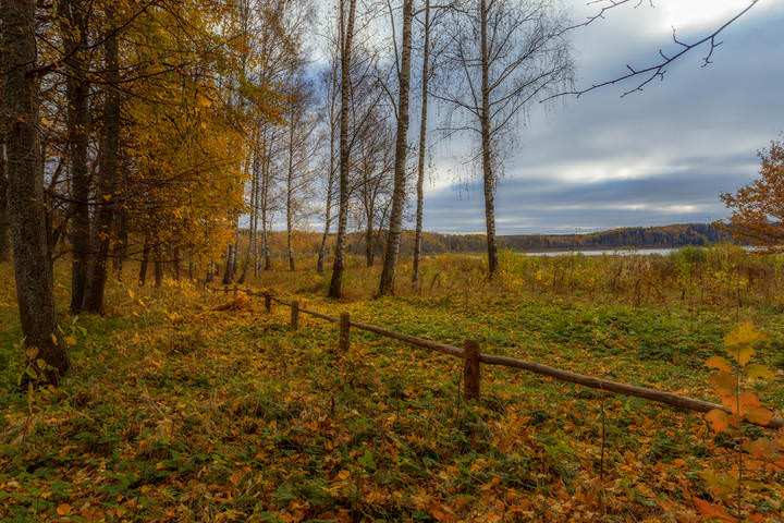 Осень в Петровском