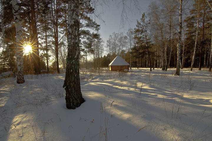 В лесной глуши