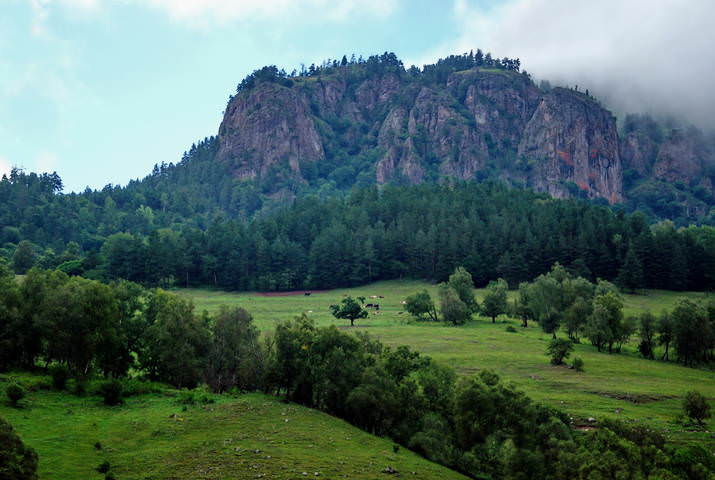 Гребень