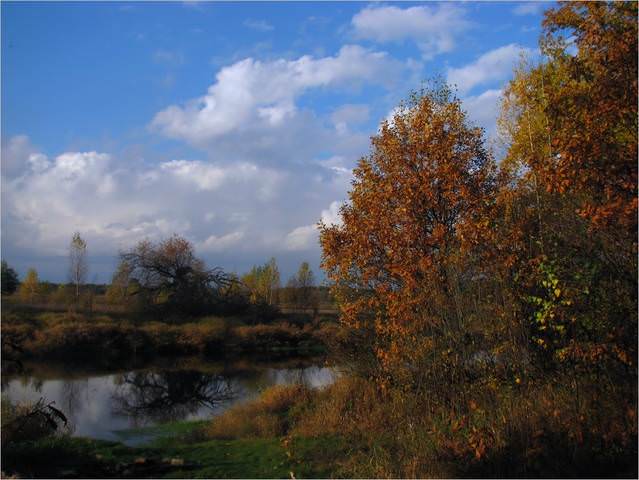 Осенняя пора...