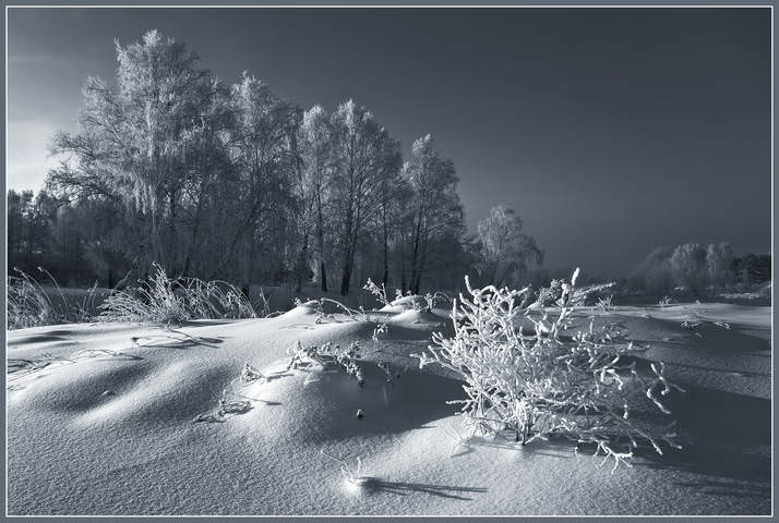 Морозное утро 2.