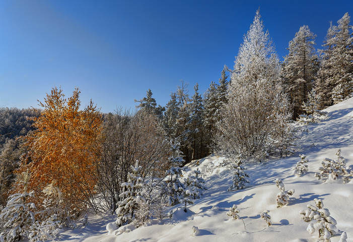 Осень и зима