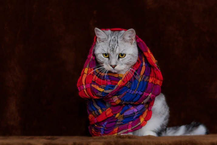 Добрыня