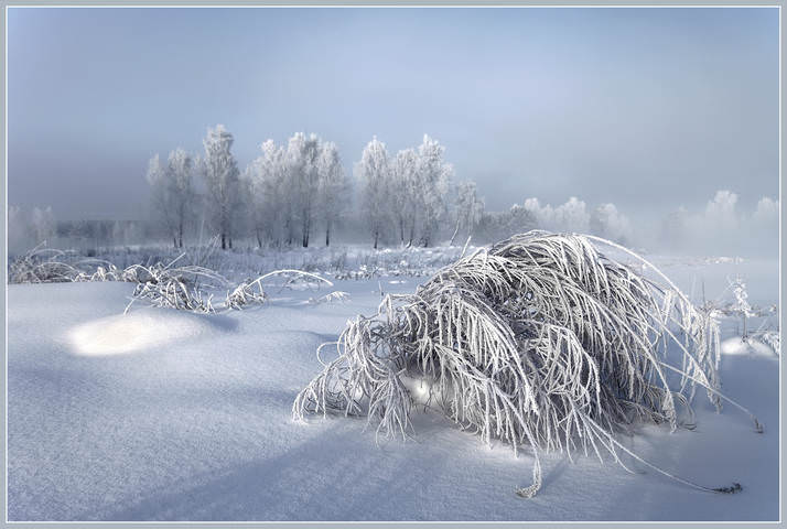 Морозное утро 3.