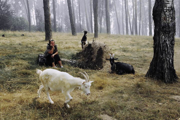  Из жизни козла (2010)