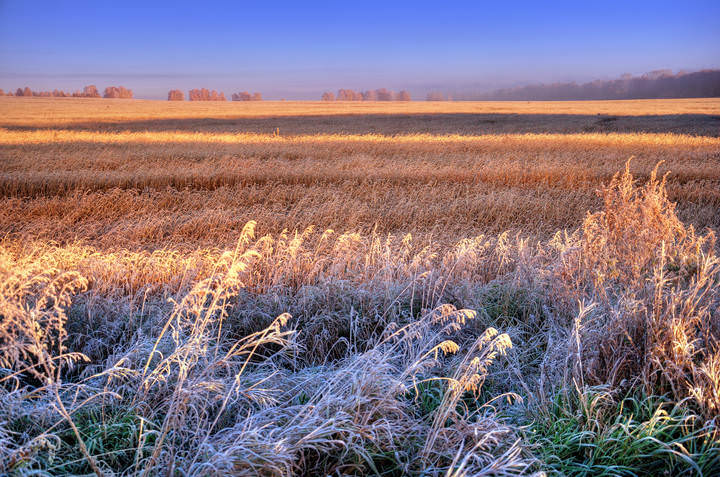 Заморозка