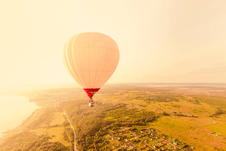 fly