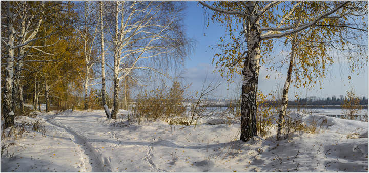 583850ffe2cfda32d968414e
