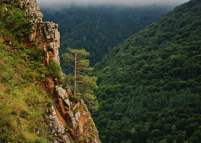 На краю
