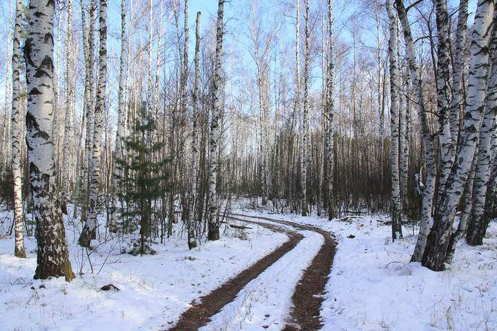 Зима без всякого стесненья.........