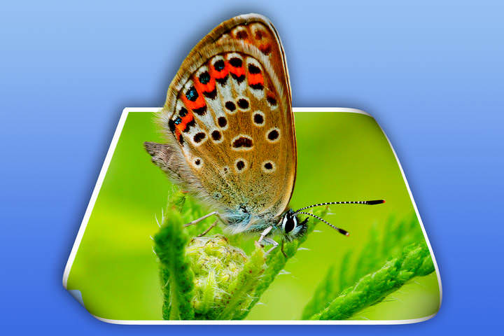 Типа 3D